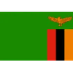 ตรา Zambia U17 W